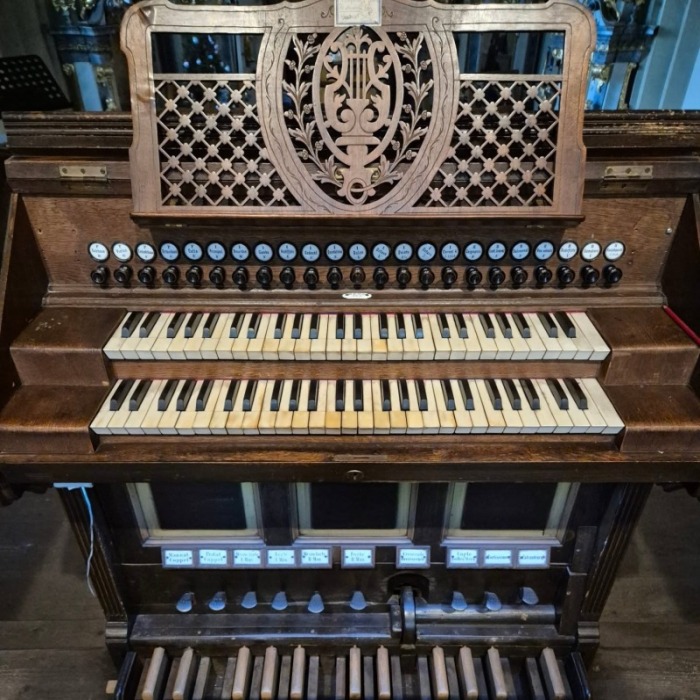 Licence obrázku: Jan Fejgl (2025)