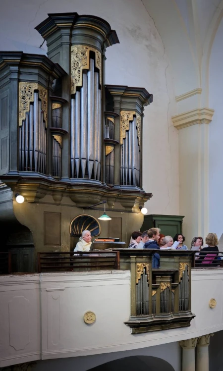 Chabařovice, Narození P. Marie &ndash; varhany