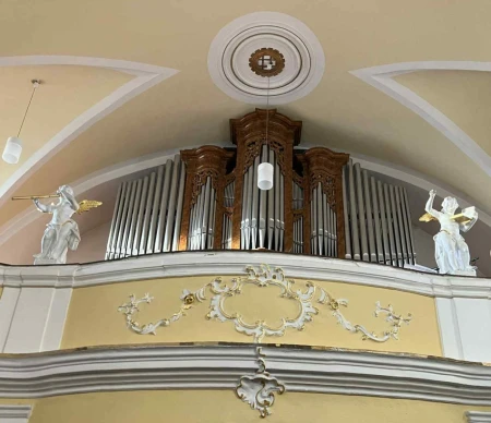 Dřevohostice, sv. Havla &ndash; varhany