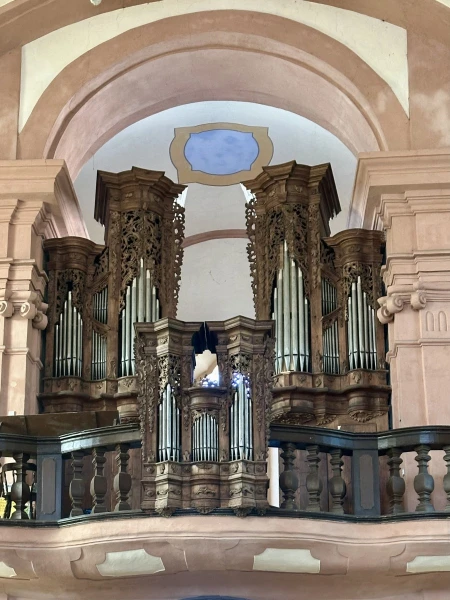 Horšovský Týn, sv. Apolináře &ndash; varhany