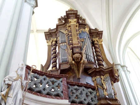 Žďár nad Sázavou, Nanebevzetí P. Marie a sv. Mikuláše &ndash; varhany