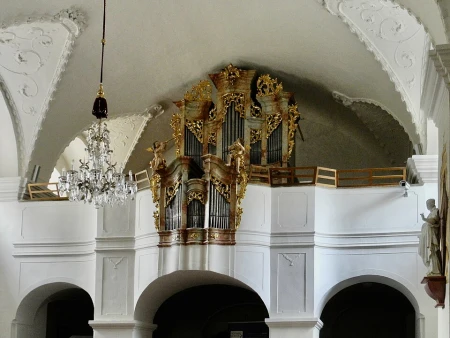 Vranov nad Dyjí, Nanebevzetí P. Marie &ndash; varhany