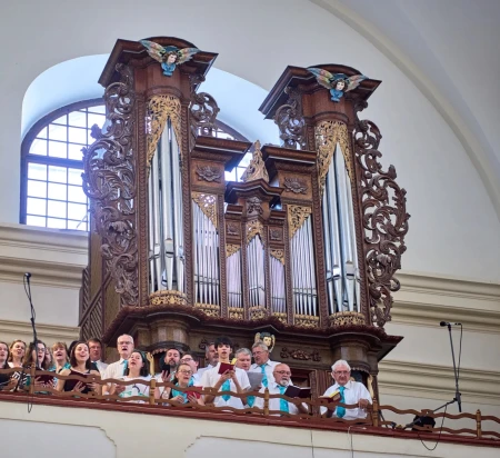 Pozořice, Nanebevzetí P. Marie &ndash; varhany