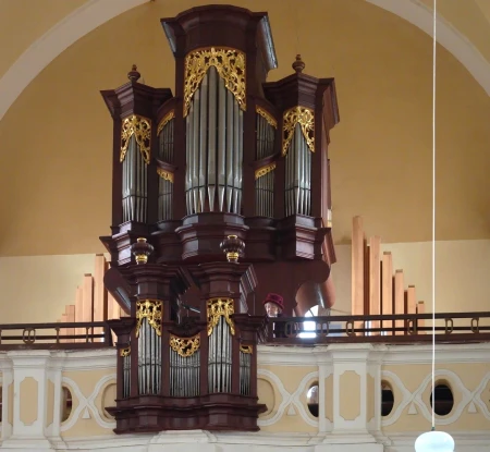 Střílky, Nanebevzetí P. Marie &ndash; varhany