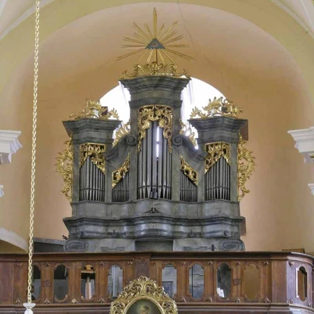 Velké Heraltice, Neposkvrněného početí P. Marie &ndash; varhany